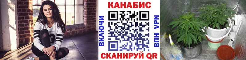 Продажа наркотиков Протвино Амфетамин  МЕФ  ГАШИШ  Cocaine 