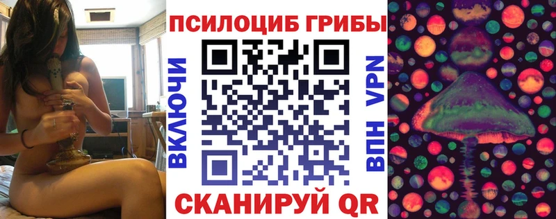 Псилоцибиновые грибы Psilocybine cubensis  это официальный сайт  Протвино 