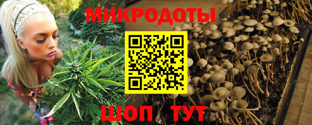 наркота  Вход с VPN  Протвино  Галлюциногенные грибы MAGIC MUSHROOMS 