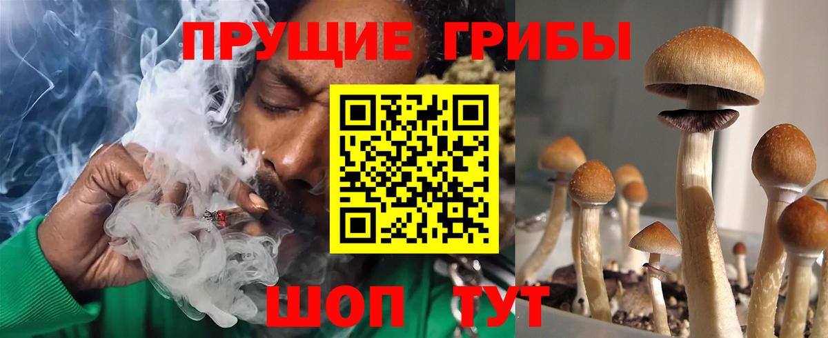 Галлюциногенные грибы мицелий Протвино